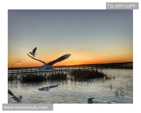 追逐梦想的脚步足球明星们的励志人生故事与心灵寄语